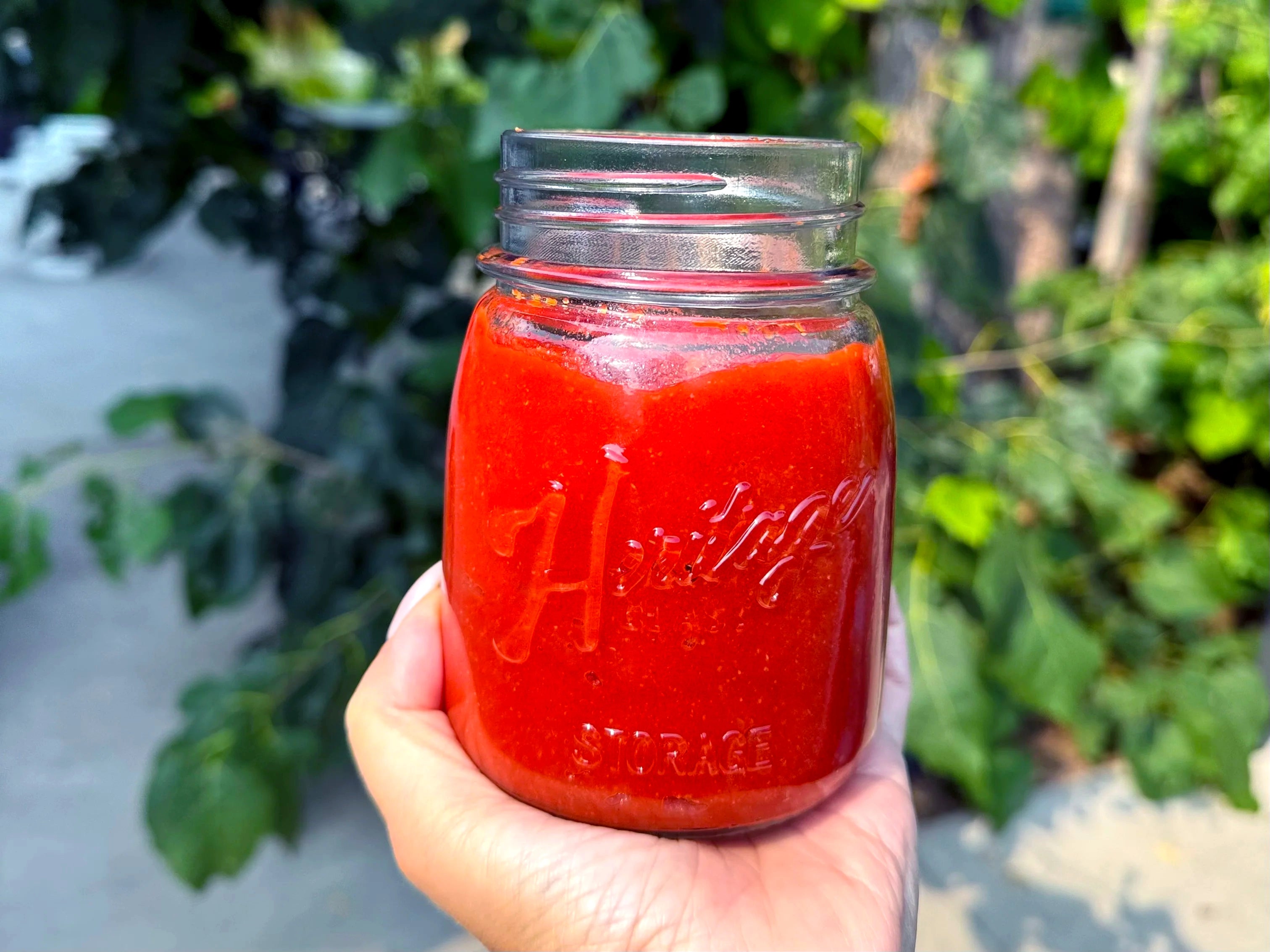 Hand holding a jar of homemade ketchup outdoors