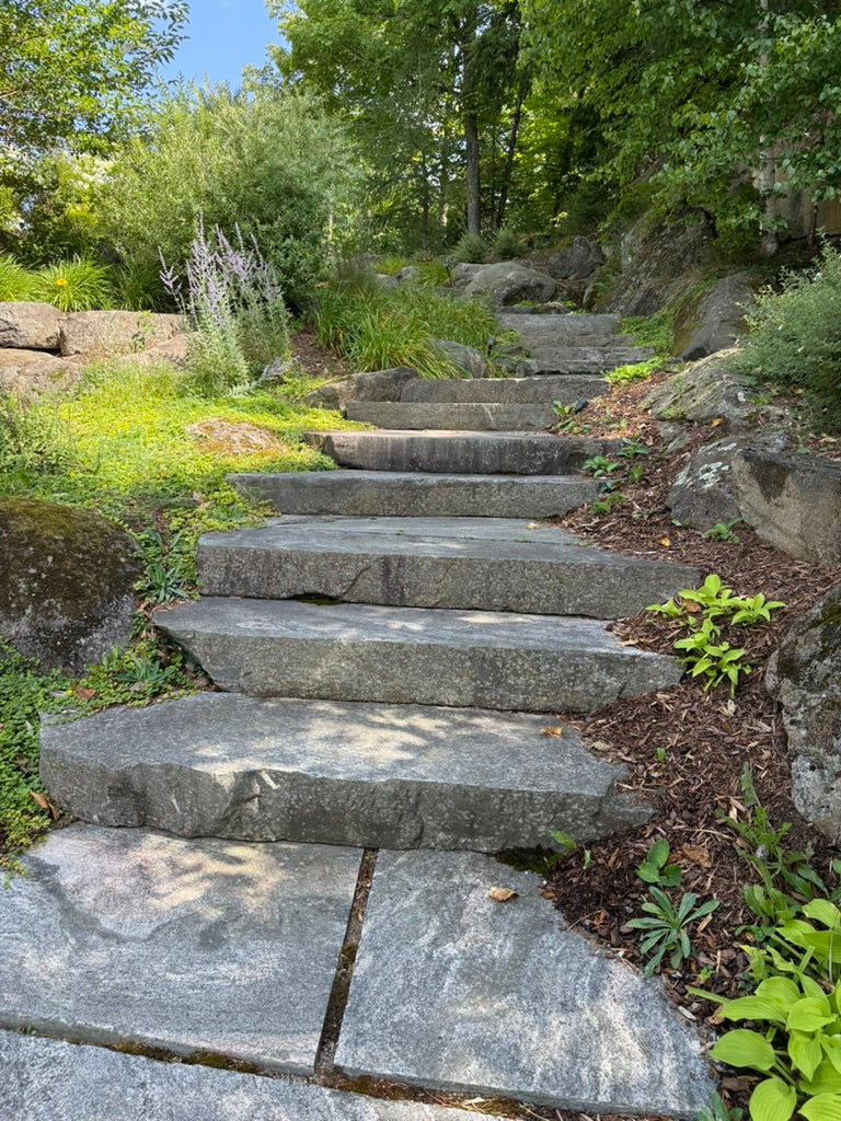 Late August Balance: Savouring Summer while Preparing for Fall