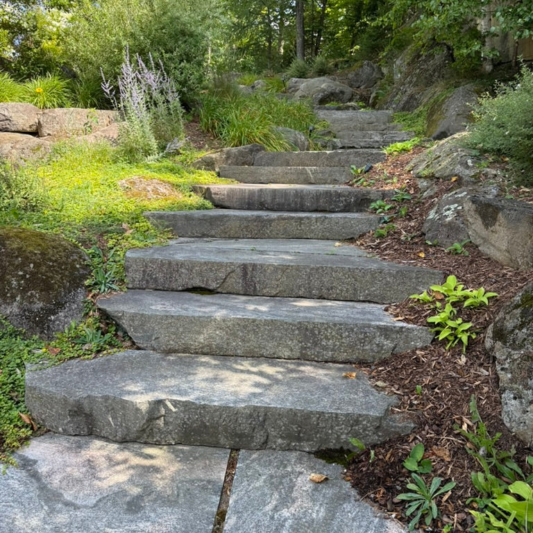 Late August Balance: Savouring Summer while Preparing for Fall