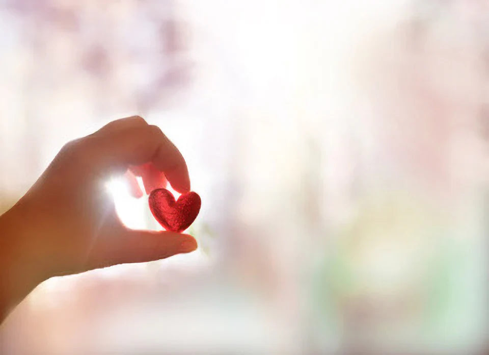 Gratitude Meditation