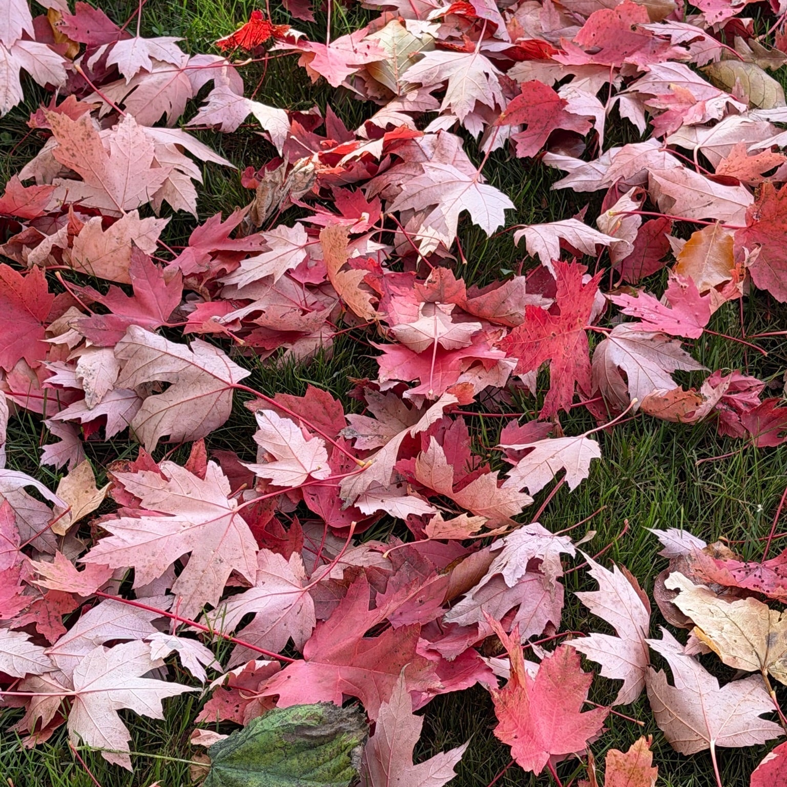 What Your Body Is Asking For (And Why You Should Listen)