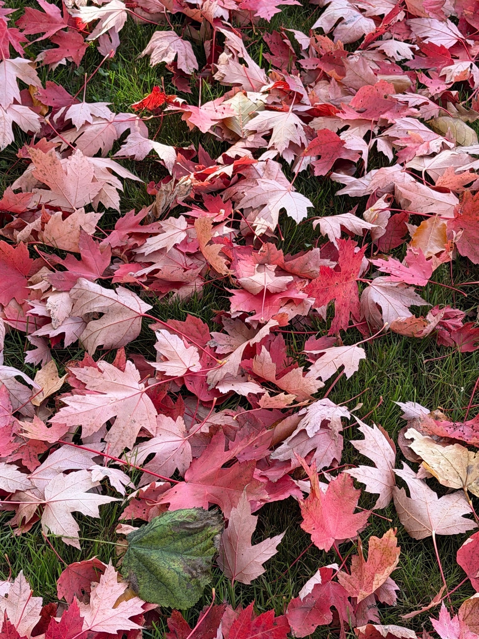 What Your Body Is Asking For (And Why You Should Listen)