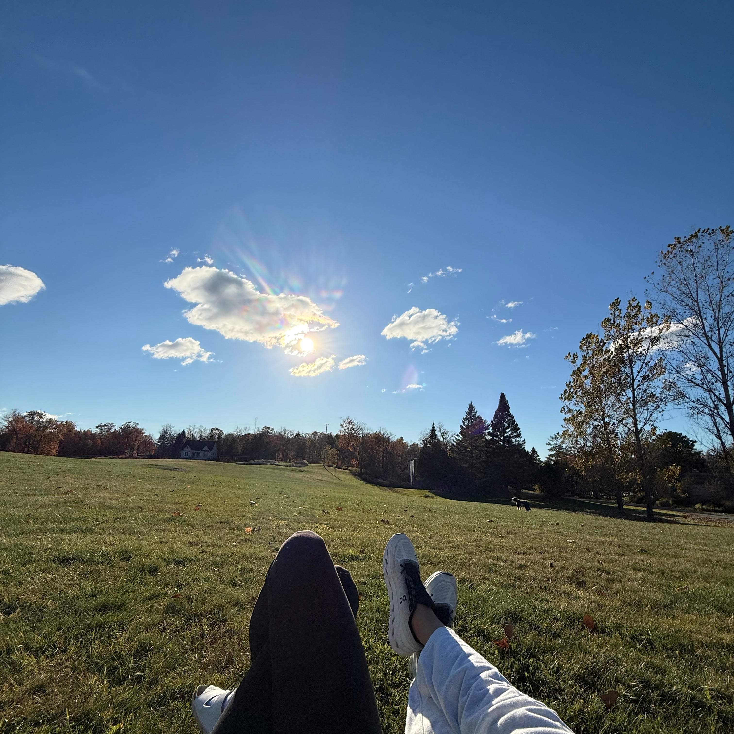 The Post-Thanksgiving Recovery Window (And Why You Shouldn't Waste It)