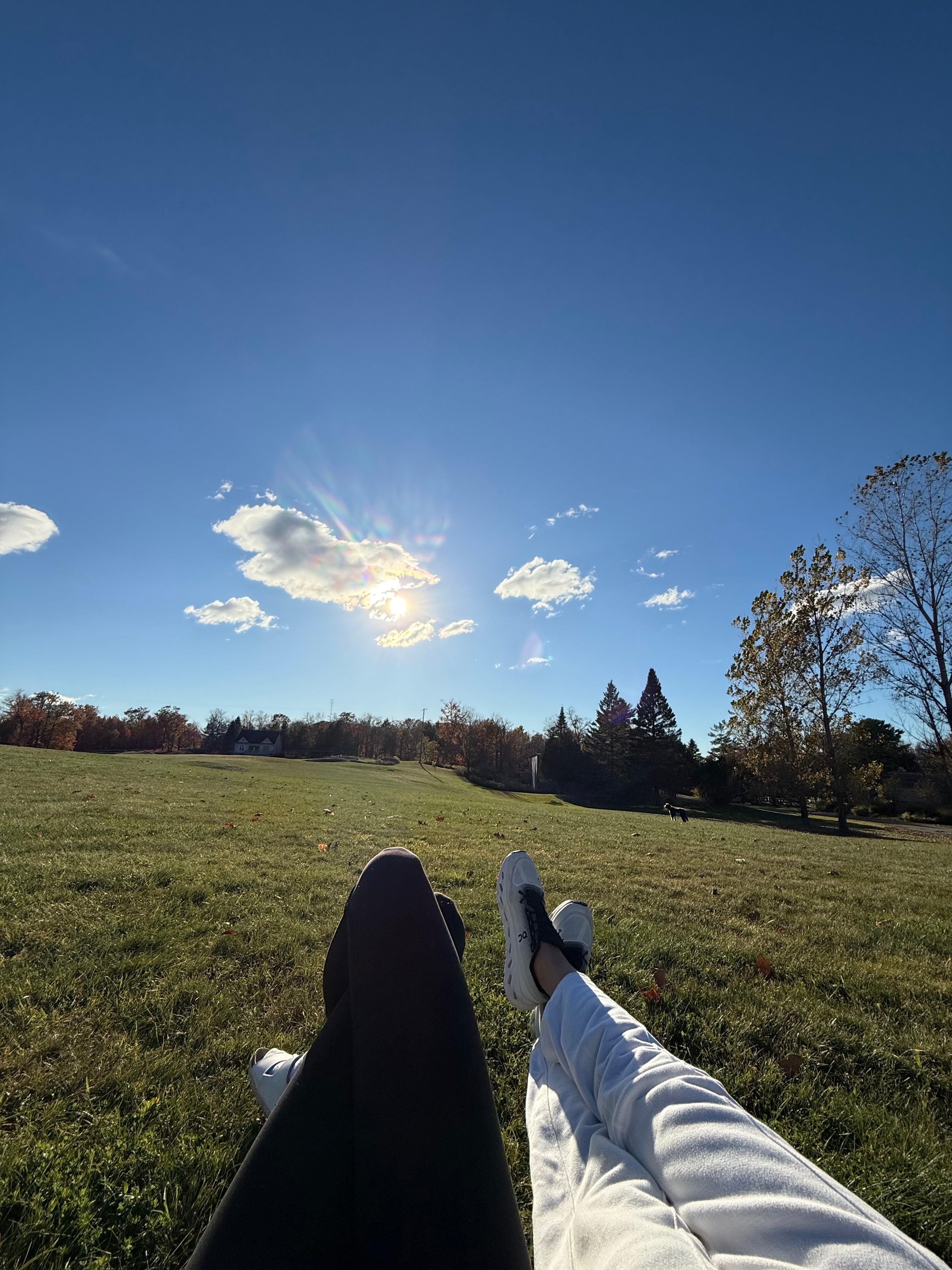 The Post-Thanksgiving Recovery Window (And Why You Shouldn't Waste It)