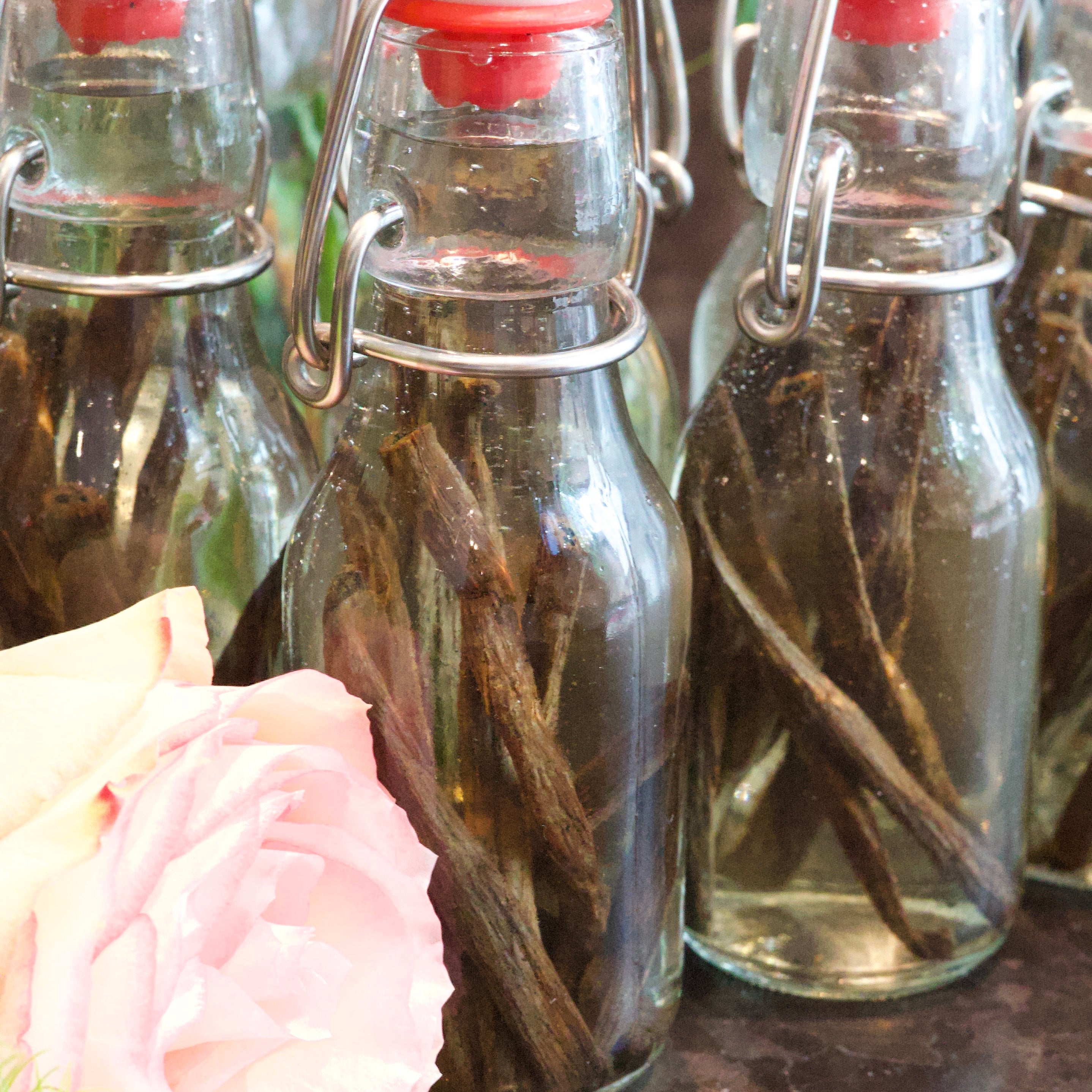 Vanilla Extract