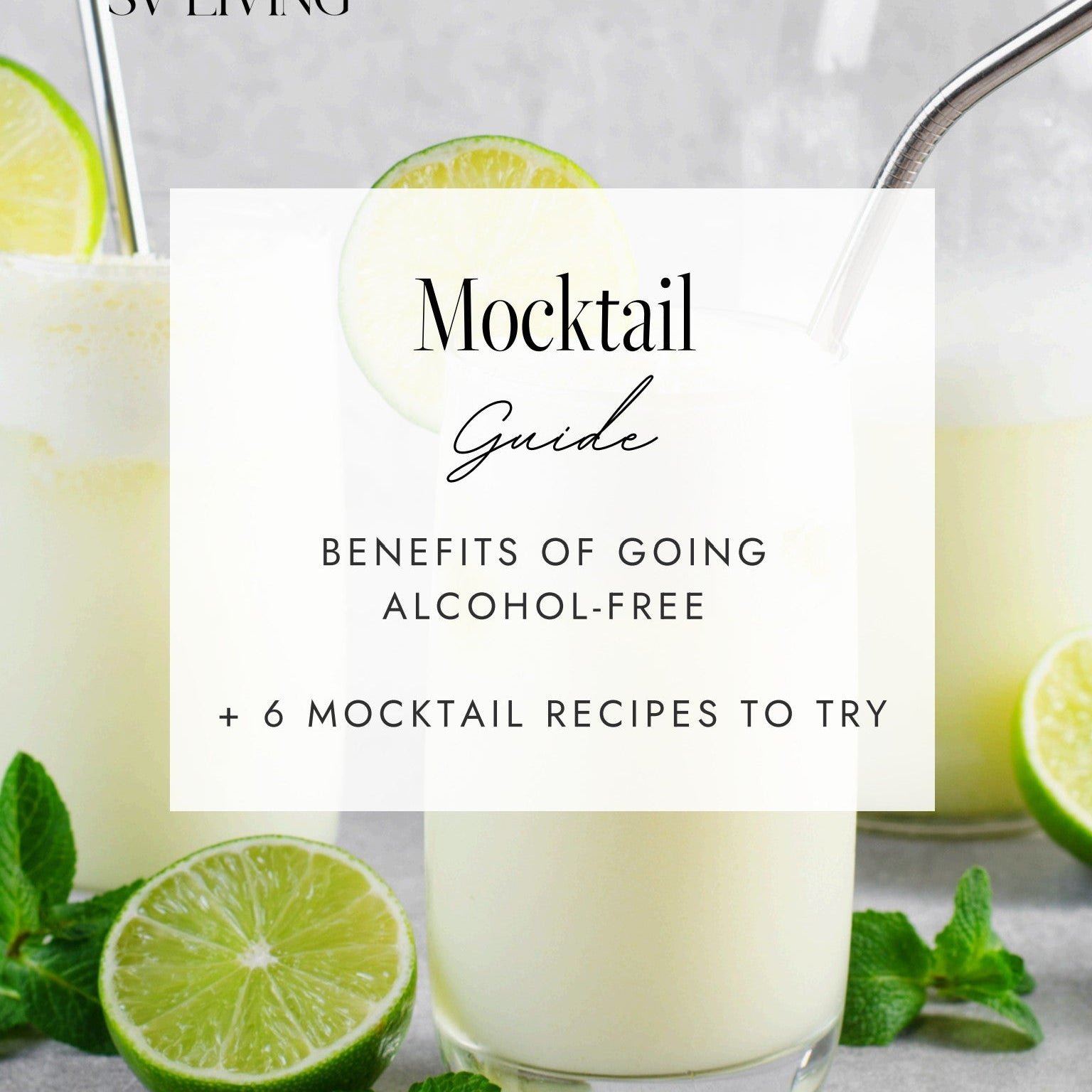 Mocktail Guide
