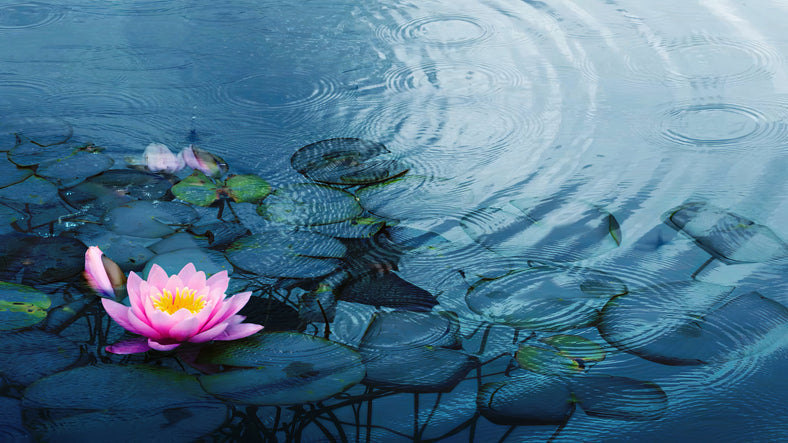 Stress Meditation - 6 min