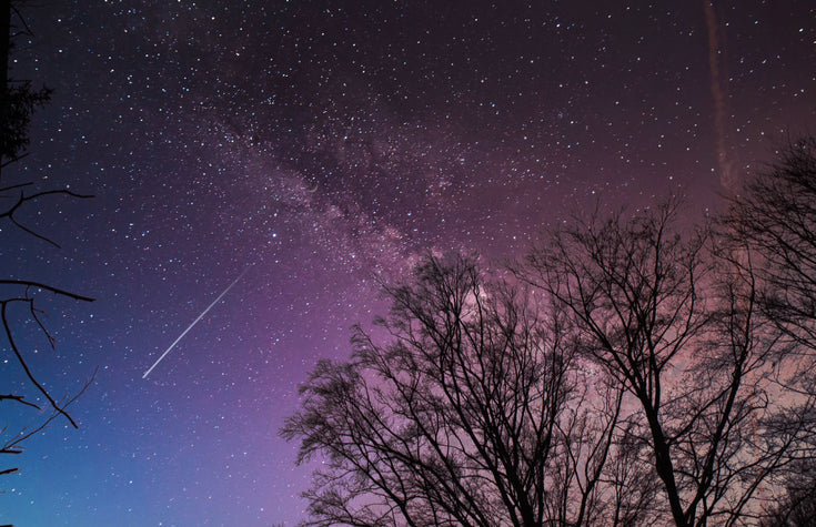 Starry night sky with the Milky Way above bare trees