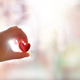 Gratitude Meditation