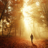 Loving Kindness